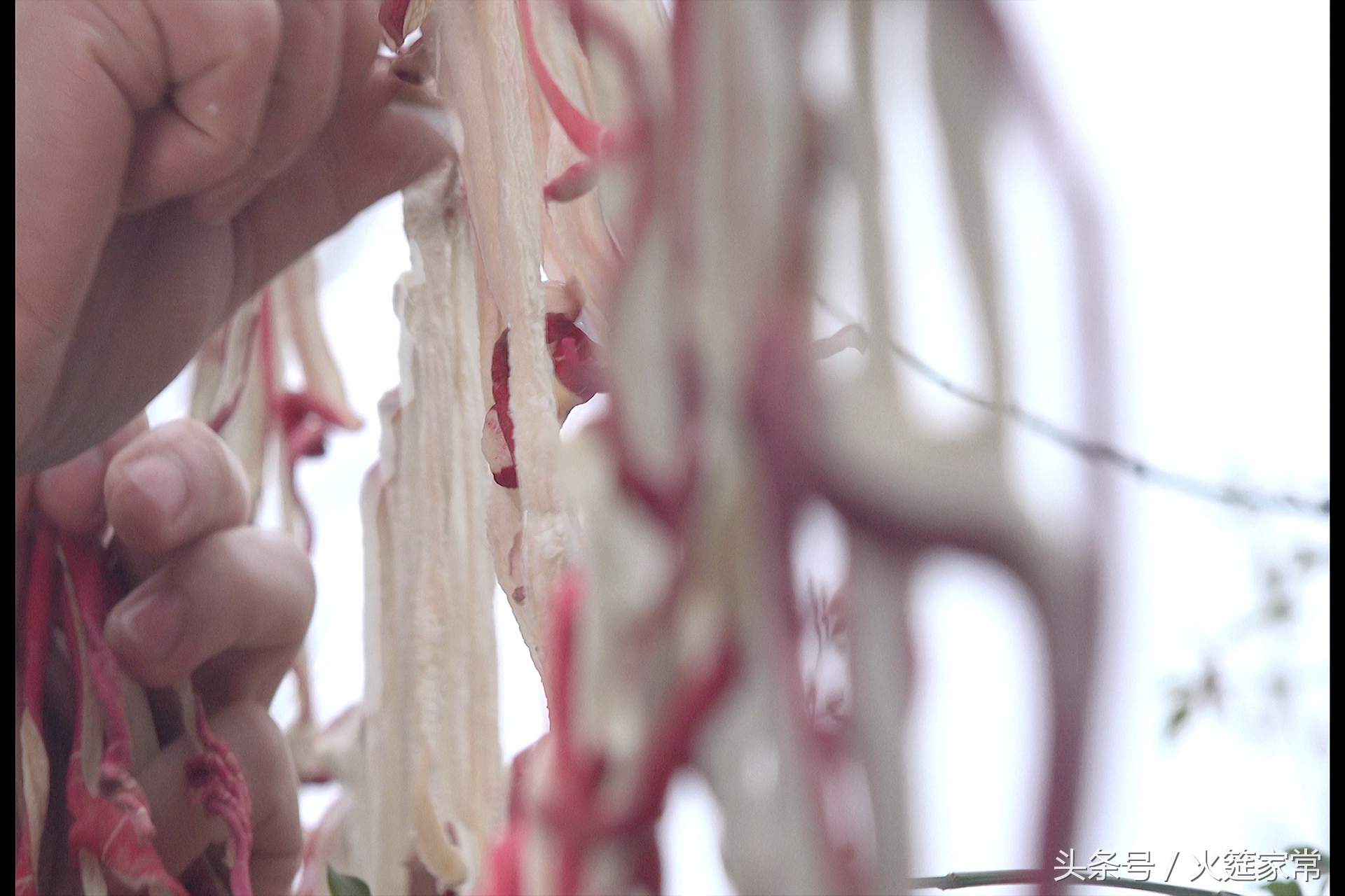 小菜一碟麻辣萝卜干,一斤五香萝卜干咸菜的做法