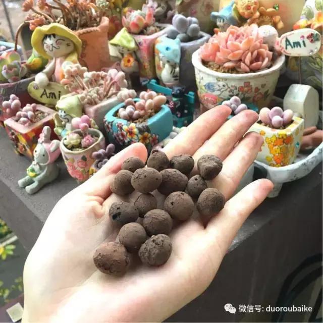 太实用了!图解多肉的配土及用药!