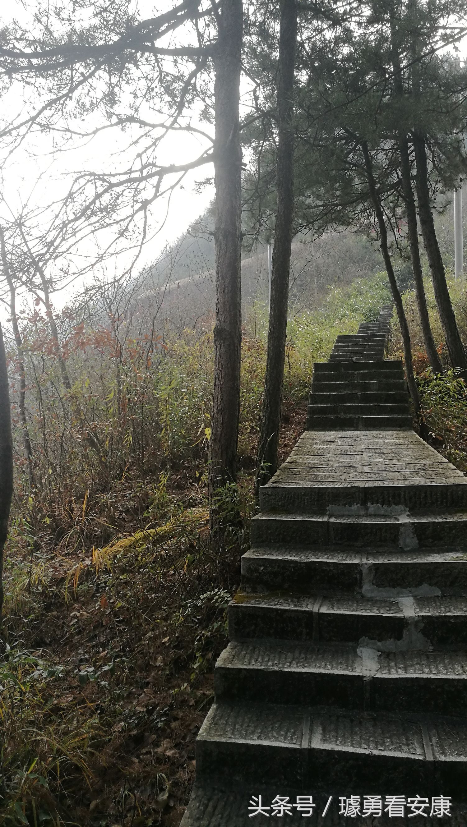 这里是中国慢城，一个让人能够宁静的城市这里环境美人情更美