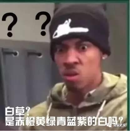 缇庨澶╀笅鍏荤敓澶у笀,缇庨澶╀笅棣欑尓