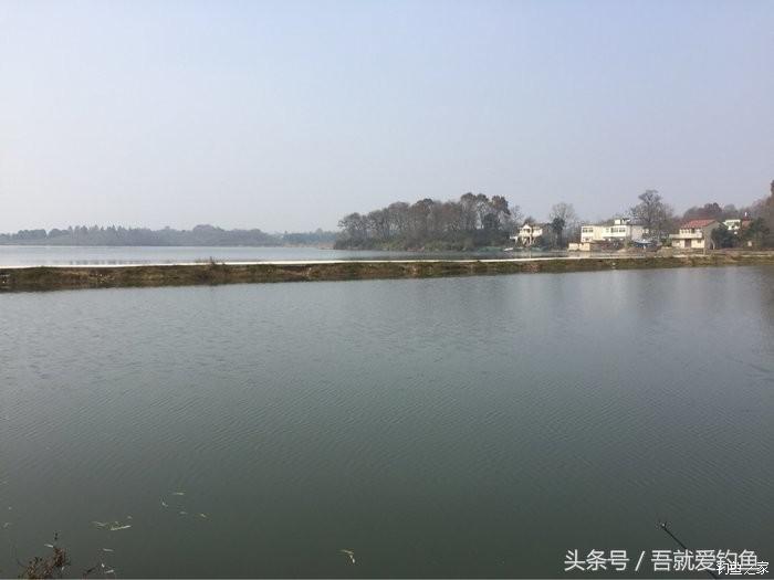 大湖冬钓鲫鱼怎么找钓点,平天湖初冬