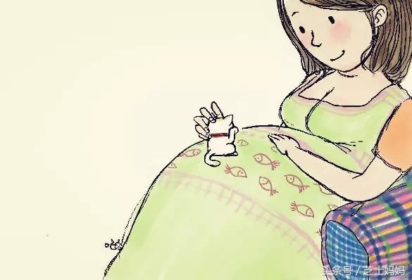 泡温泉拍X片养宠物这些事大肚皮能做吗？产科医生告诉你