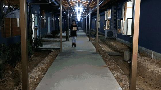 陪伴均安人十几年酒楼全面升级,全新创意茶点,大良都要过去饮茶