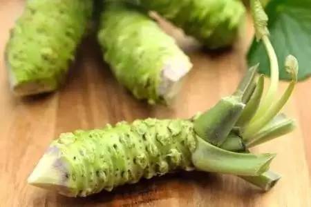 日料的芥末是真的吗,日料店同款芥末酱