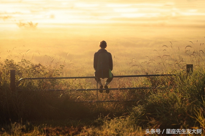 十二星座十二生肖不同的性格,十二星座和十二生肖的共同点