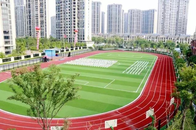 看完振奋,下应东南片区教育配套大爆发!