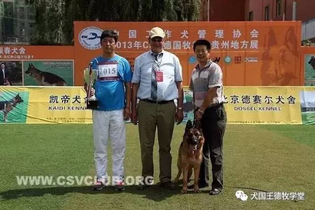 刘阿姨德牧,福多多德牧