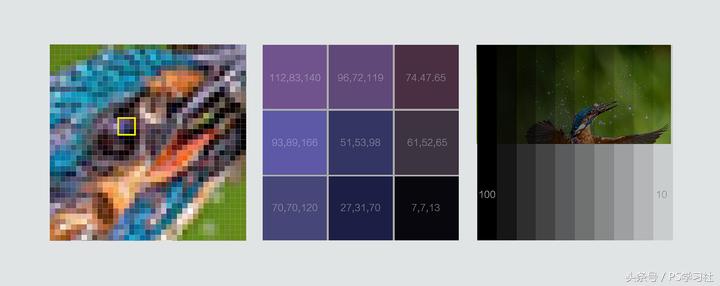 ps操作教程新手入门,ps新手入门教程免费抠图