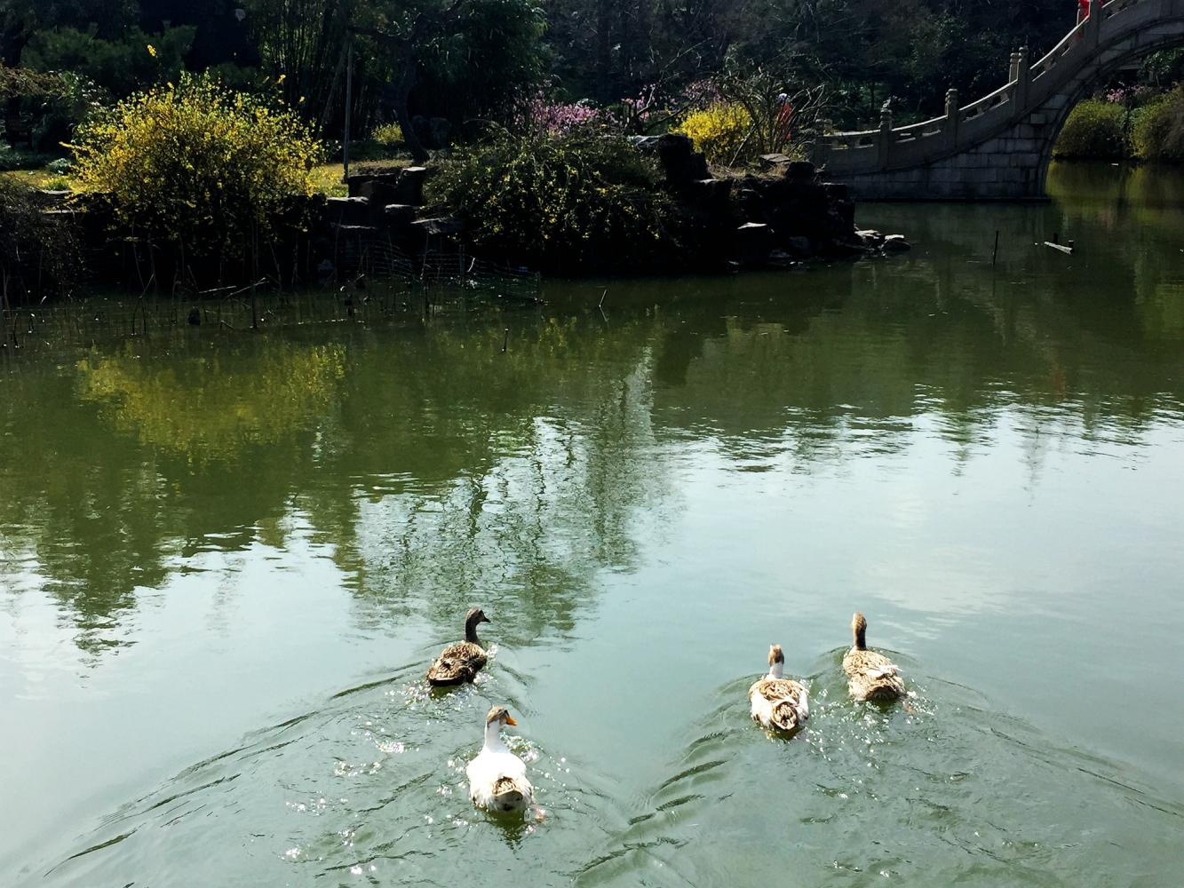 澶粨鍗楀洯鍘嗗彶鑳屾櫙,鍥捐澶粨鍘嗗彶