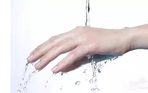 宠物店如何防止被猫狗抓伤咬伤,养宠小知识宠物猫咪掉毛怎么办