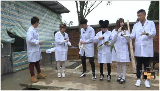 养猪场给母猪人工授精,猪场给种猪人工授精