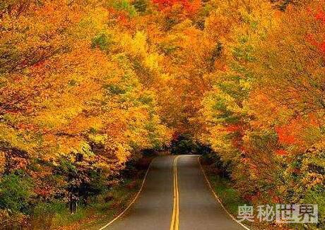 世界上最美的地方,世界上最美的地方是什么样的