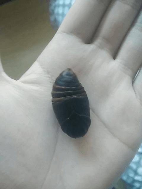 逗逼先僧：讽刺那些老发自拍瞎逼逼的女神，搞笑图片合集22