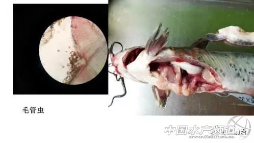 做到这十点顺风顺水,做到这十点你绝对不会吃亏