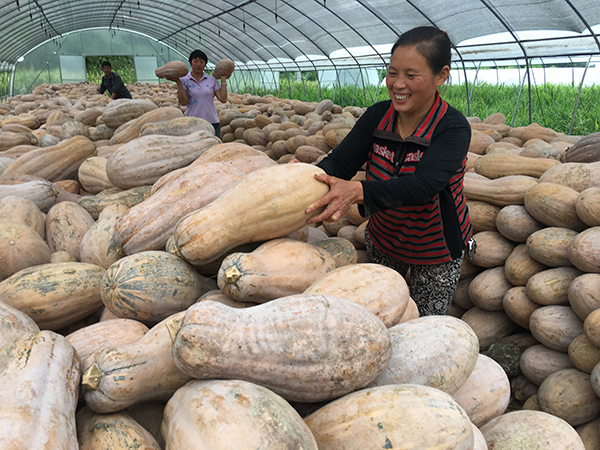 武隆县重点项目,重庆武隆2018年重点项目建设