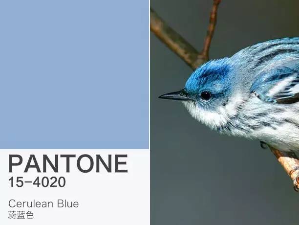 潘通色是彩虹色吗,潘通色卡今年流行色