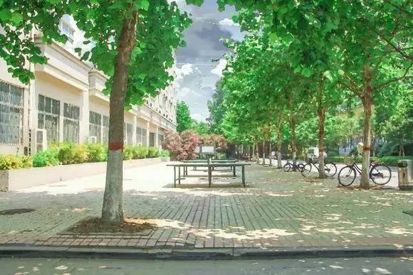 浦东新建的学校,浦东新区2021新增学校