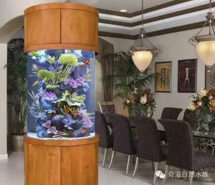 鱼缸摆放位置与属相,鱼缸的摆放位置以及风水影响
