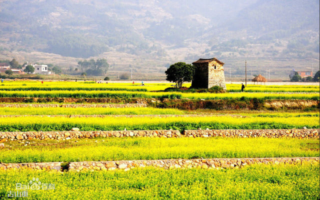 2017叨位“七桃”?看这里,拿走不谢!