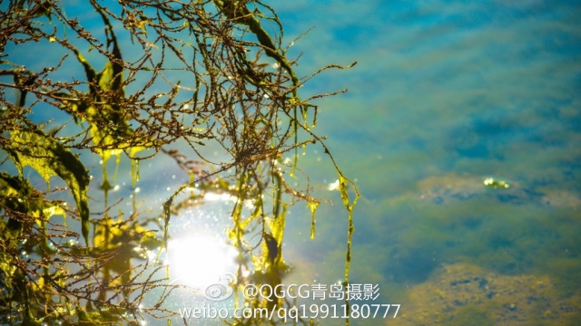 青岛的冬天来临之前,青岛的冬天多么美