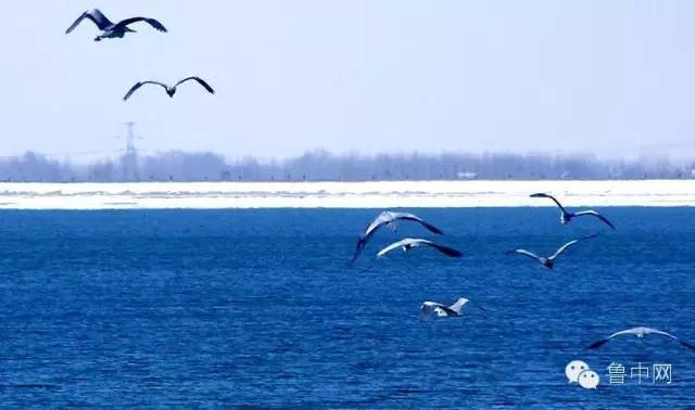 淄博！山东最冤的一个市？
