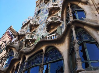 法兰西板鸭,板鸭西班牙语