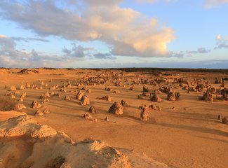 西澳珊瑚海岸3700公里自驾：卡尔巴里-猴子米娅-珊瑚湾-宁加洛珊瑚礁！