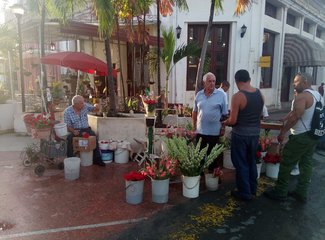 古巴的现状带你了解真实的古巴,古巴最新更新消息