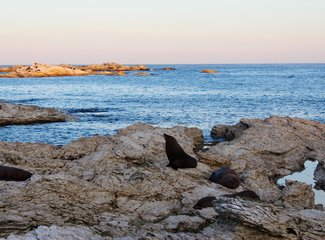 新西兰南岛自驾游景色,新西兰南岛跳伞攻略