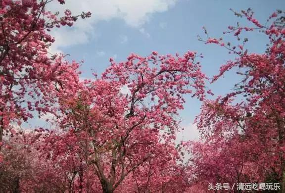 英德有多少个地方,英德最好的地方在哪里