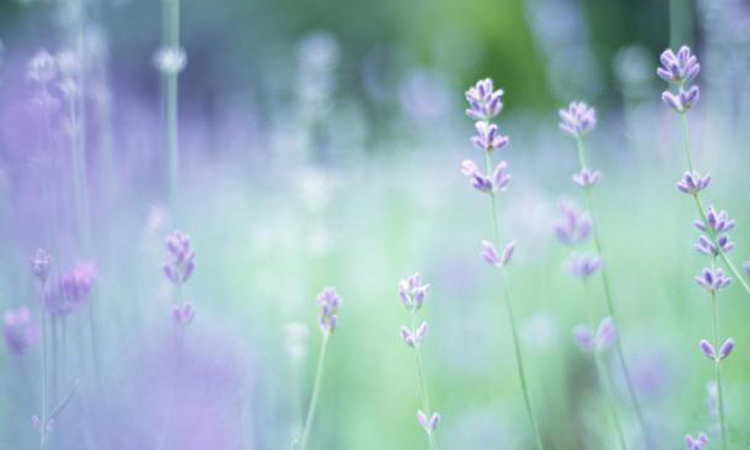 朋友圈个性说说：不要问我过得好不好，我只能说，还活着！