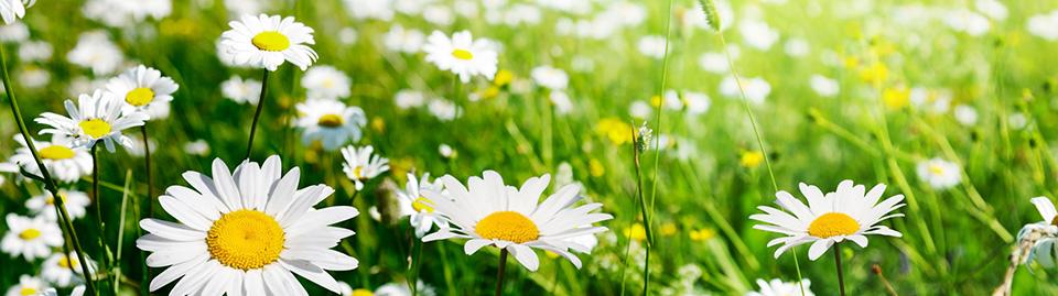 灰指甲太难治了怎么办,得了灰指甲怎么才能根除掉