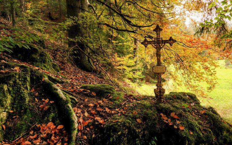 还记得那个抑郁自杀的走饭吗？让我们来重温下她的《走饭遗言》