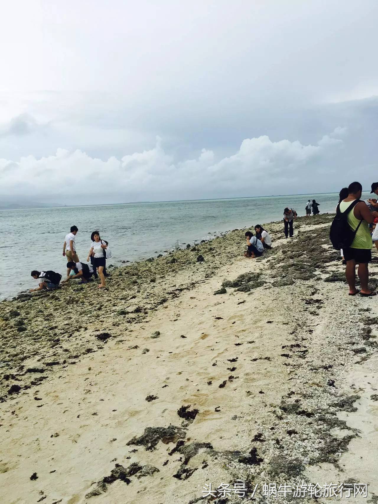 不要浪费每一次可贵的机会,不要浪费每一次机会