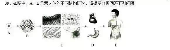 七年级上册生物期末试卷2021安徽,七年级生物人教版期末试卷带答案