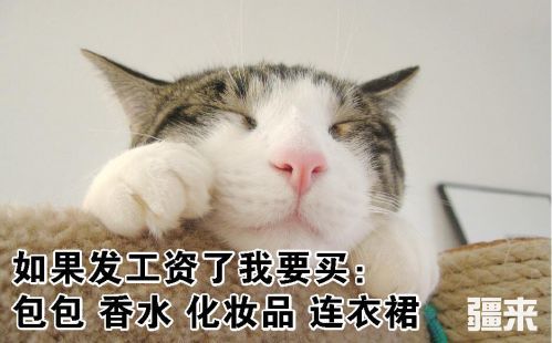 “阿布拉馕”将代表神秘东方力量冲向国际，真的么？