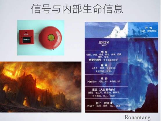 唐一杰瑜伽式呼吸,以觉为师唐一杰完整版