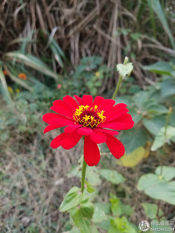 三星s7edge还能用吗,三星s7edge现在系统流畅吗