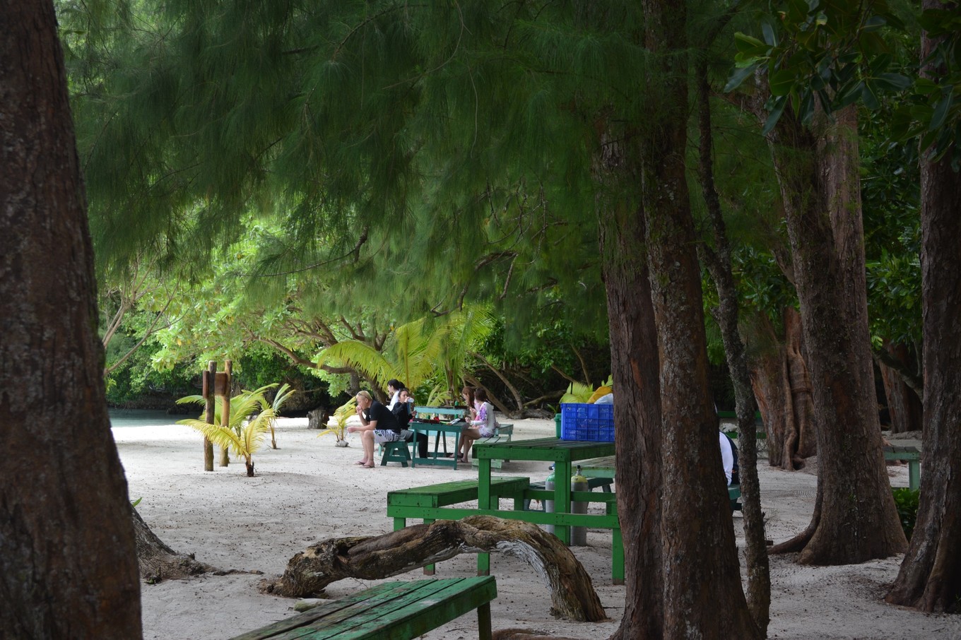 帕劳旅行攻略大全图文,帕劳旅行攻略图文大全