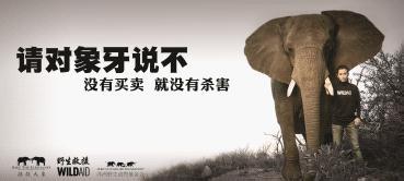 你还在买黄金吗,你还在买珠宝吗