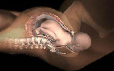 原来胎儿入盆的感觉这么微妙，准妈妈恭喜你即将迎来新生命了！