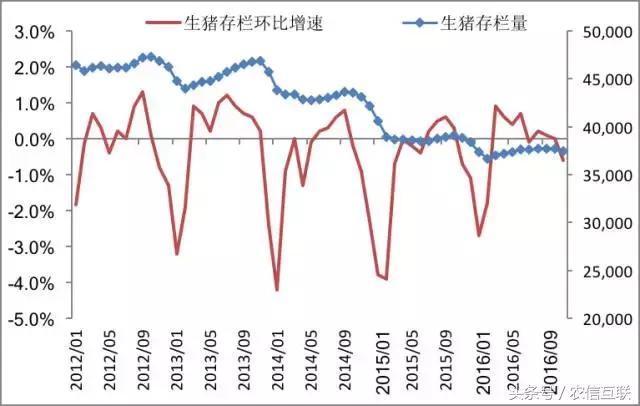 2019下半年猪价还能涨到多少,2019年猪价走势如何
