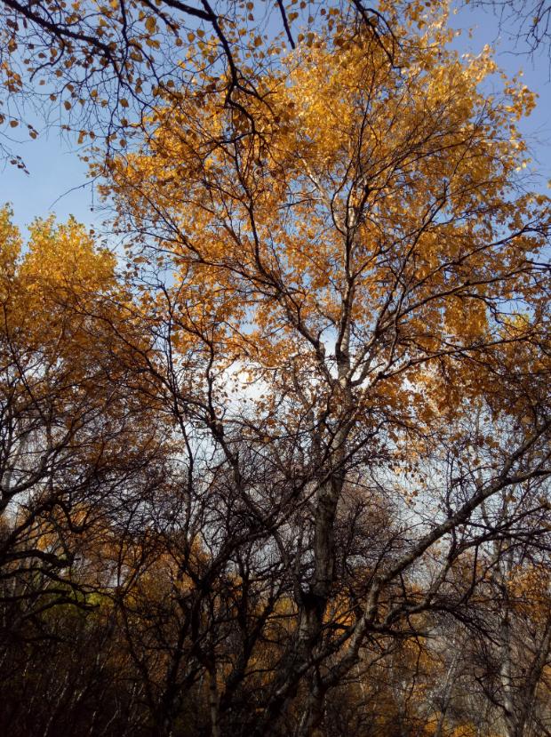 张北的草原天路之旅,张北天路攻略