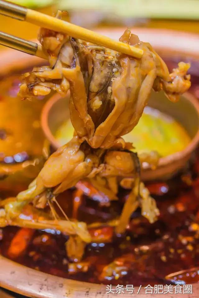 合肥滨湖美蛙鱼头火锅网红店,美蛙鱼头味之绝合肥