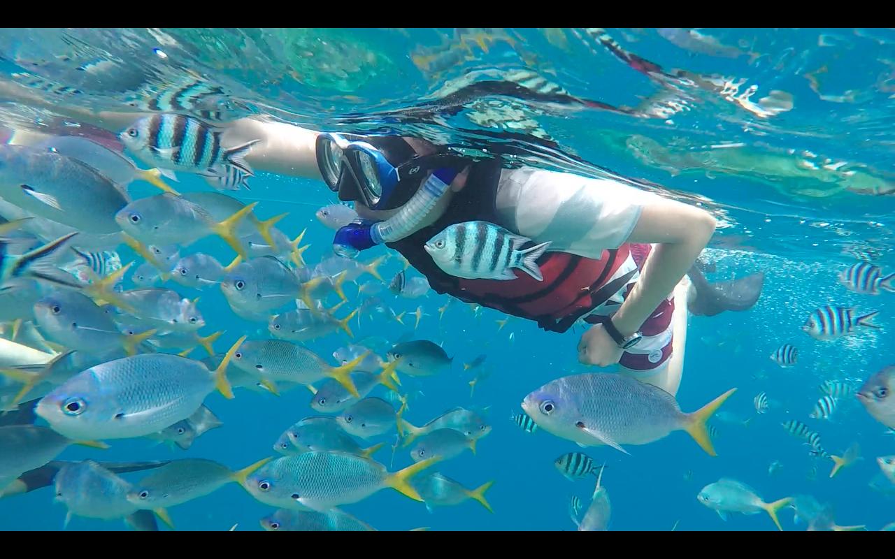 帕劳旅行攻略大全图文,帕劳旅行攻略图文大全