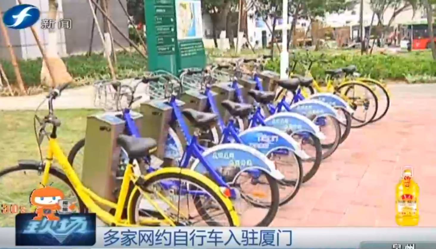 网约车绕圈厦门最新消息,网约车市场稳步前进