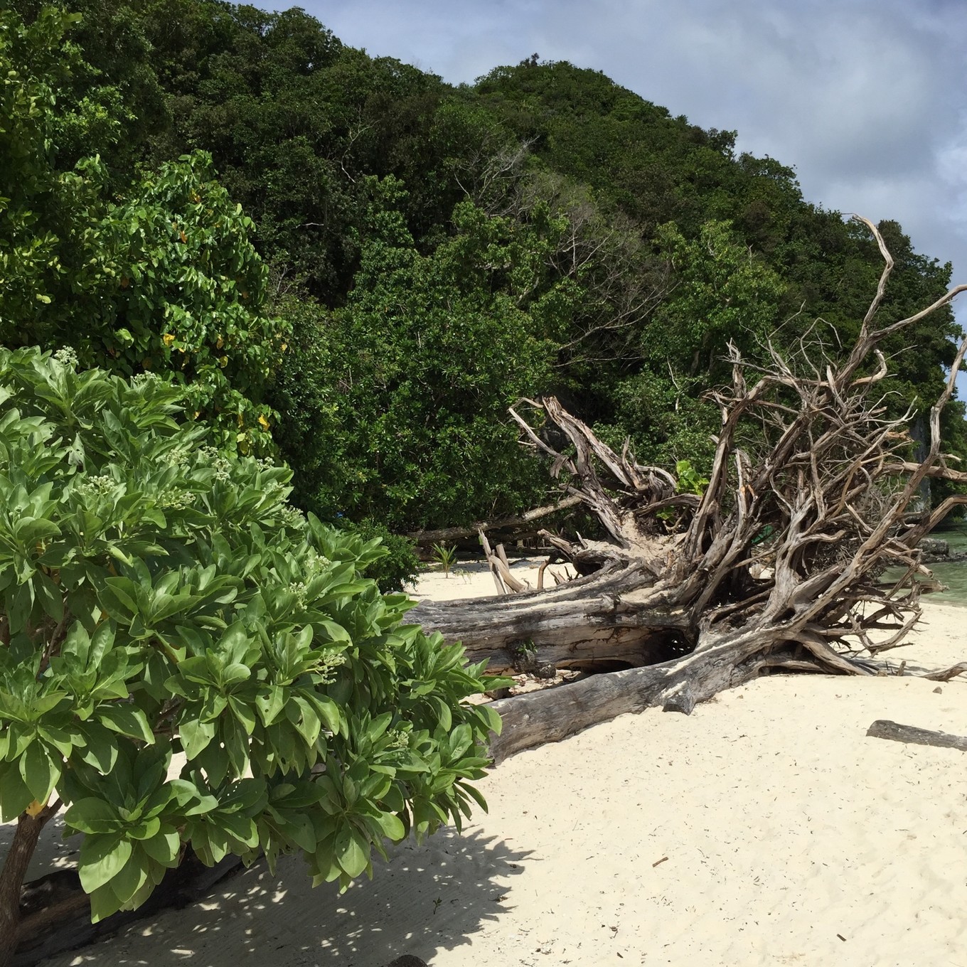 帕劳旅行攻略大全图文,帕劳旅行攻略图文大全
