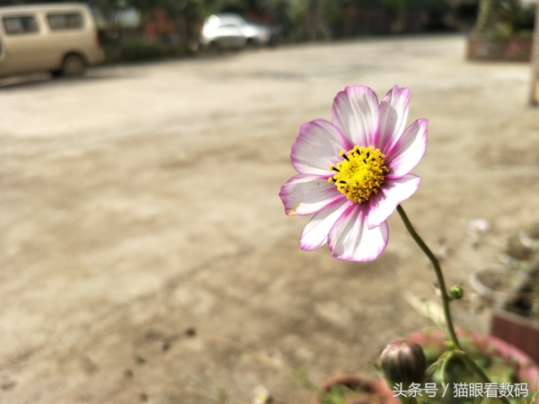 oppor9s和plus哪个好用,oppor9s和plus哪个值得买