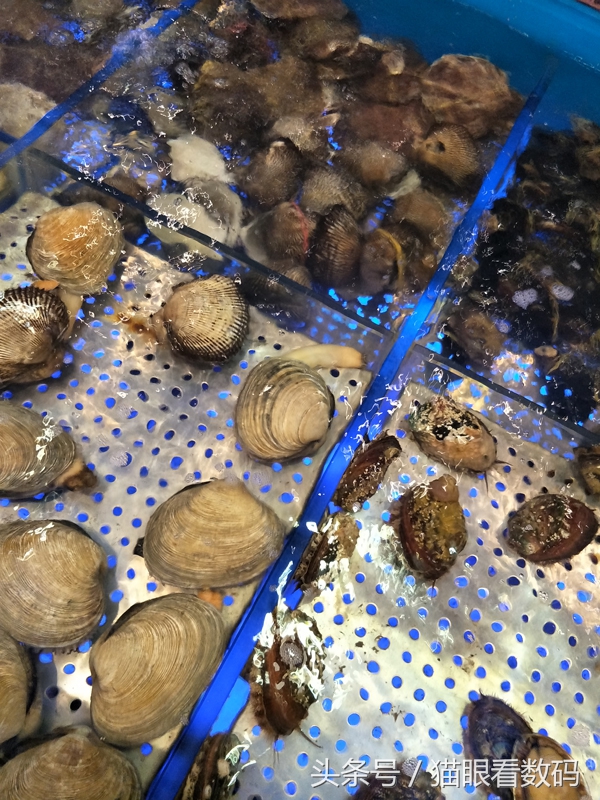 oppor9s和plus哪个好用,oppor9s和plus哪个值得买