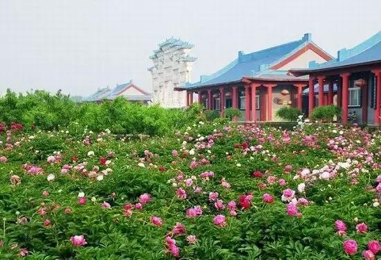 2021年洛阳旅游攻略指南,洛阳旅游攻略2015